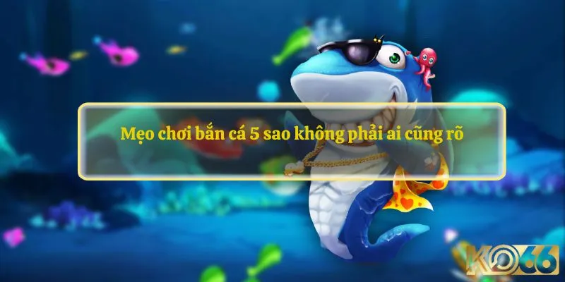 Mẹo khi chơi bắn cá 5 sao không phải ai cũng rõ